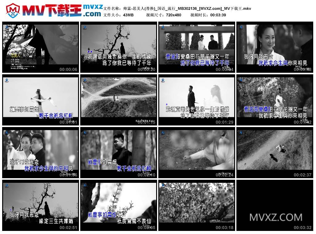 帅霖-思美人(替换)_国语_流行_MB302136